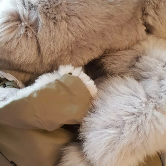 Mr & Mrs Italy Fur lined Jacket - Picture 7 of 12